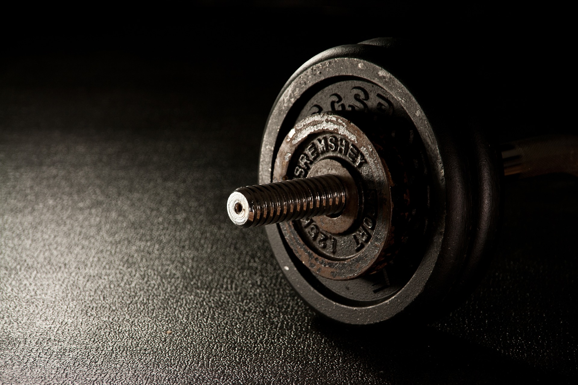 Allenamento in palestra